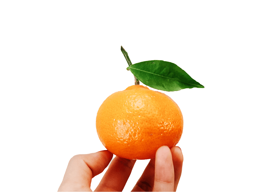 about us hero banner mobile